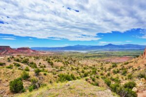 New Mexico landscape