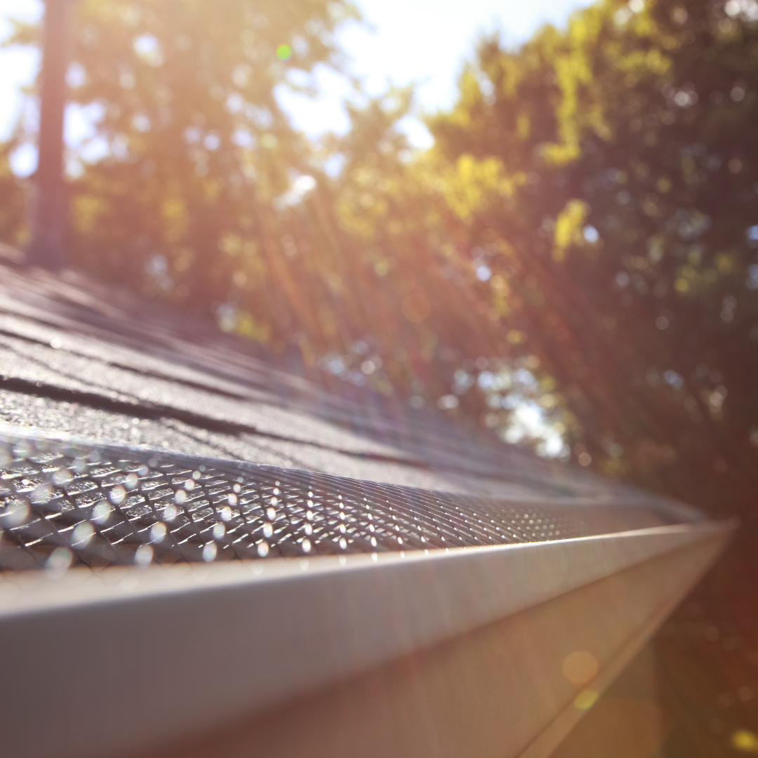 close up image of a roof surrounded by trees, with shade being cast on the roof with sunlight gleaming through