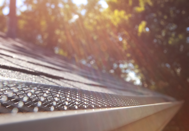 close up image of a roof surrounded by trees, with shade being cast on the roof with sunlight gleaming through